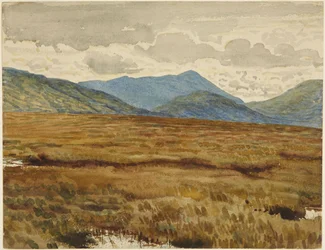 Páramo de Aros, isla de Mull