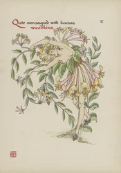 Flores del Jardín de Shakespeare