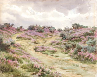 Brezo de Bell en la llanura de Setley (acuarela)