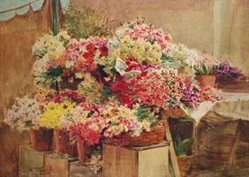 Puesto de flores en el mercado de Mentone, c. 1910, 1912