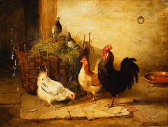 Aves de Corral y Palomas en un Interior