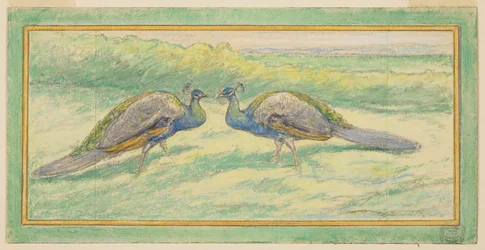 Dos pavos reales en un paisaje