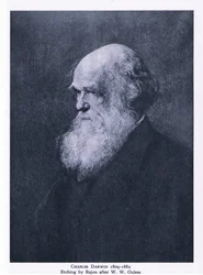 Grabado de Charles Darwin, Naturaleza en Gran Bretaña publicado por Collins