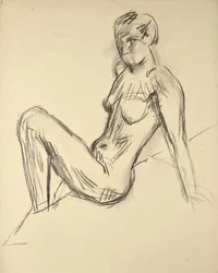 estudio de desnudos