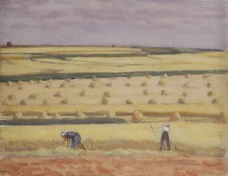 Durante la cosecha
