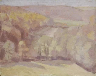 paisaje montañoso