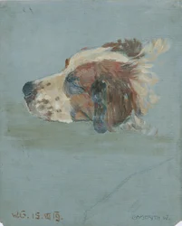 cabeza de perro
