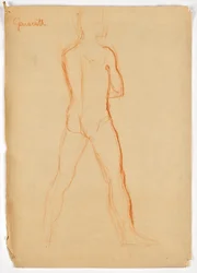 Desnudo supino masculino