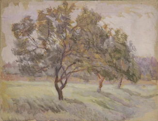árboles frutales