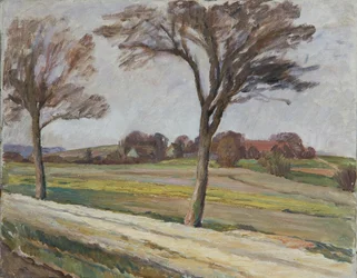 Camino con árboles y granja.