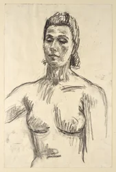 Semidesnudo femenino