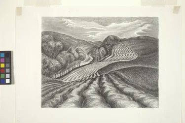 Campos arados (tinta, lápiz)