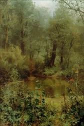 Estanque forestal