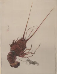 Cangrejo de río, ca. 1887