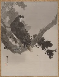Águila en un árbol, ca. 1887