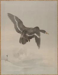 Ganso Volador, ca. 1887