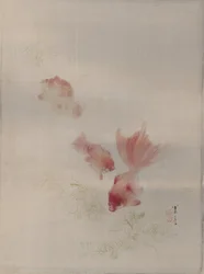 Peces de Colores