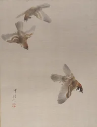 Gorriones volando, ca. 1887