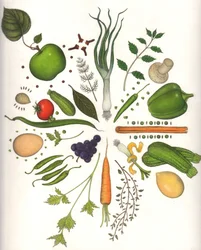 Alimentos variados