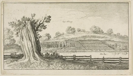 Albury con tocón de árbol en primer plano