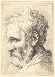 Viejo barbudo