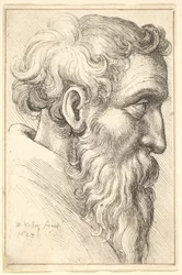 Viejo barbudo de perfil a la derecha, 1645