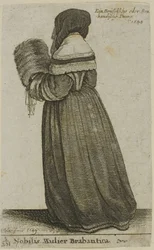 Noble de Brabante