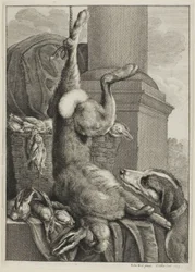 Liebre muerta