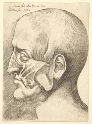 Cabeza de hombre en perfil a la izquierda, 1660