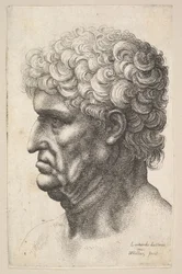 Cabeza de un hombre con cabello rizado grueso en perfil hacia la izquierda, 1640-49