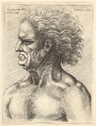 Cabeza de un hombre viejo musculoso en perfil hacia la izquierda con cabello suelto, 1625-77