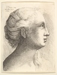 Cabeza de una joven de perfil a la derecha, 1645