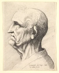 Cabeza de un anciano con mechones de cabello rizado alrededor de la oreja en perfil hacia la izquierda, 1644-52
