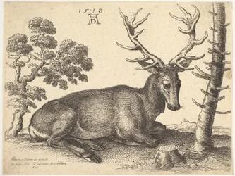 Ciervo acostado a la derecha, 1649