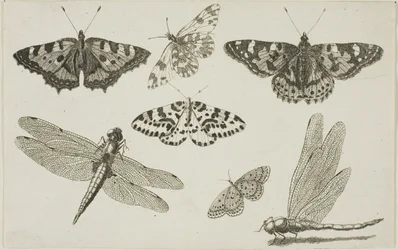 Dos libélulas y cinco mariposas