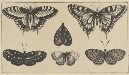 Cinco mariposas y una polilla Varios insectos (título de la serie) Diversae Insectorum (título de la serie)
