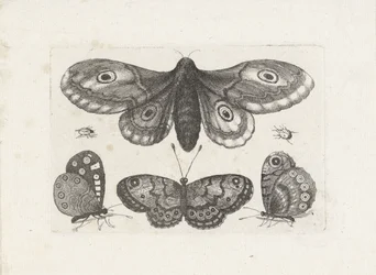 Mariposas, escarabajos y una polilla Insectos (título de la serie) Muscarum Scarabeorum (título de la serie)