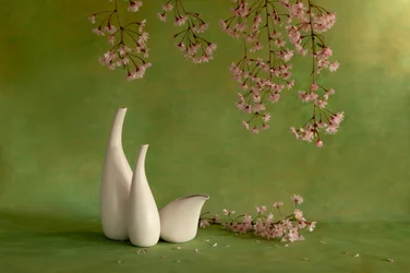 Jarrones con flores de cerezo