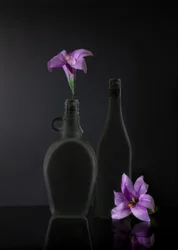 Naturaleza muerta en morado oscuro