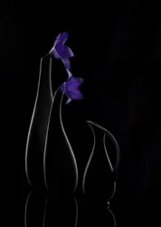 Jarrones «Purple Bloom»