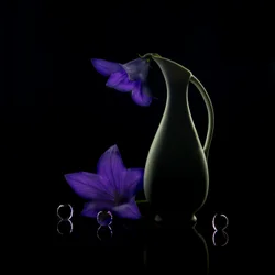 Flores moradas: elegancia oscura