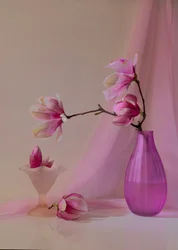 Magnolias de color rosa pálido