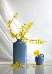 Flores amarillas en jarrones azules