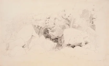 Trozos de piedra en el bosque