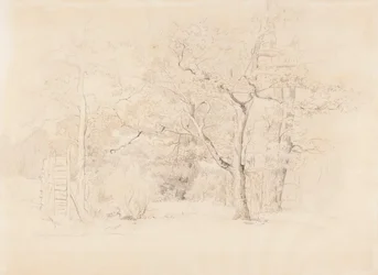 Paisaje, arboleda