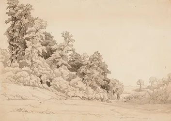 Paisaje, ladera