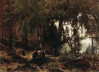 Bosque bajo la lluvia