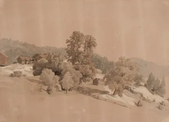 Paisaje de verano
