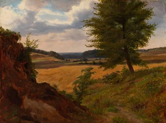 Árbol en paisaje de campos, estudio