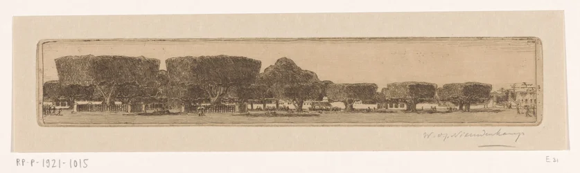Árboles Waringin en el jardín del palacio del sultán en Yogyakarta
Plaza de Jogyakarta (título original)
